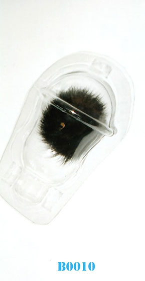 B0010