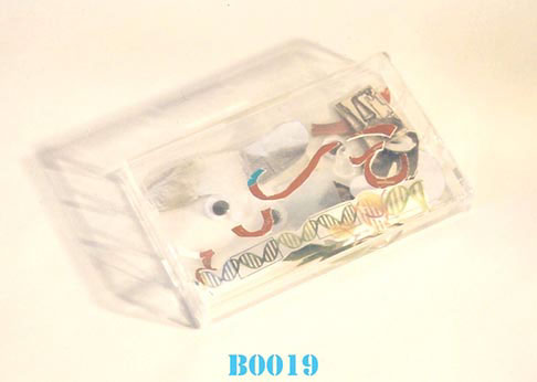 B0019
