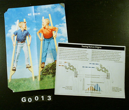 G0013