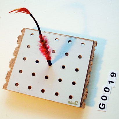 G0019