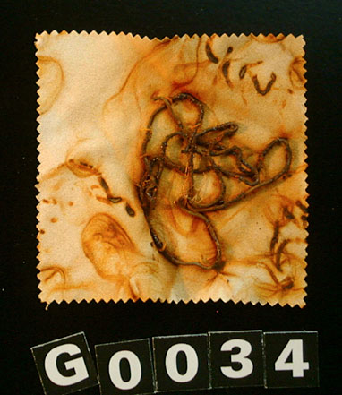 G0034