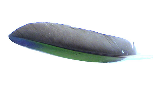S0002